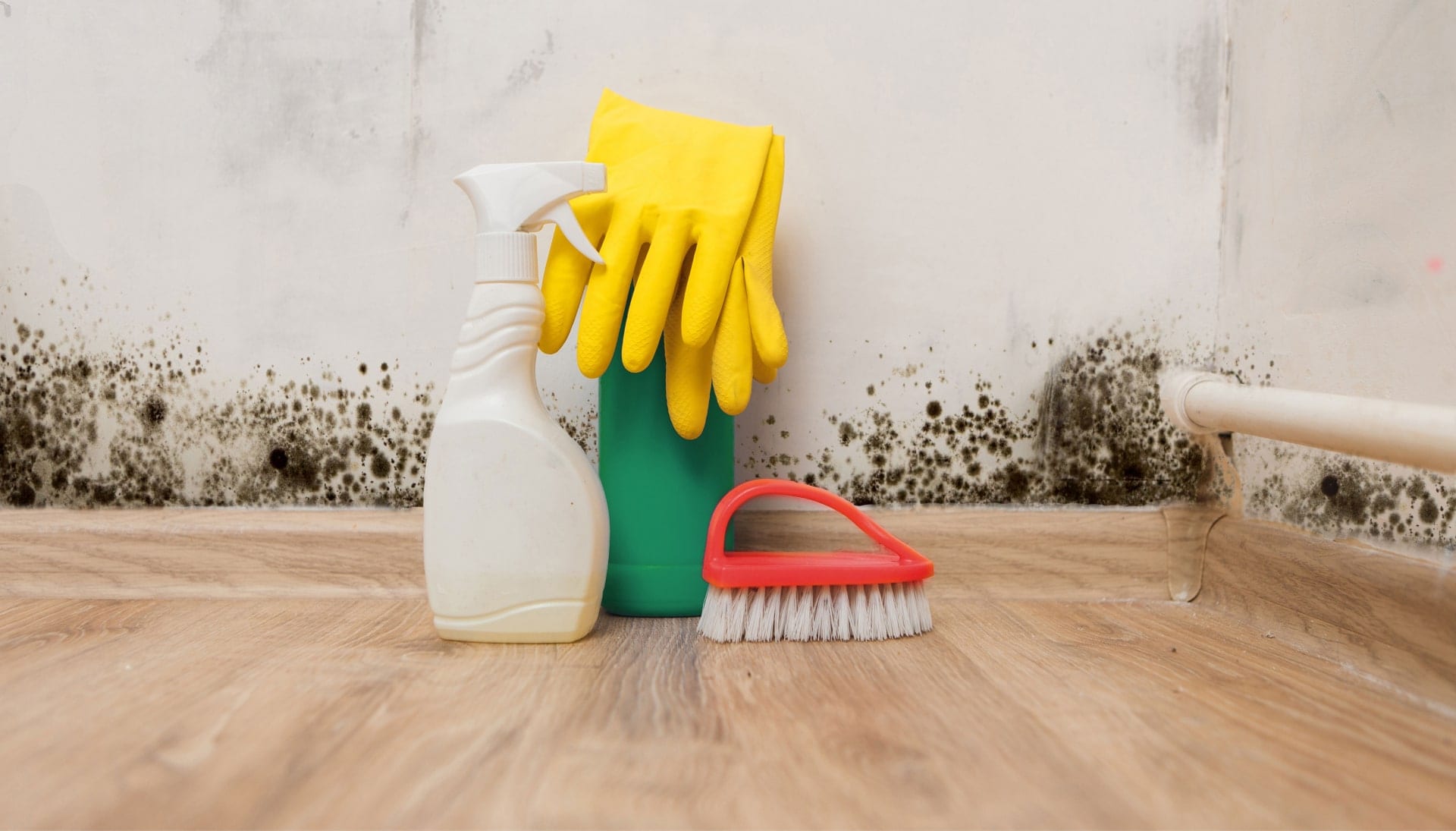 Know About Mold Removal In Orlando