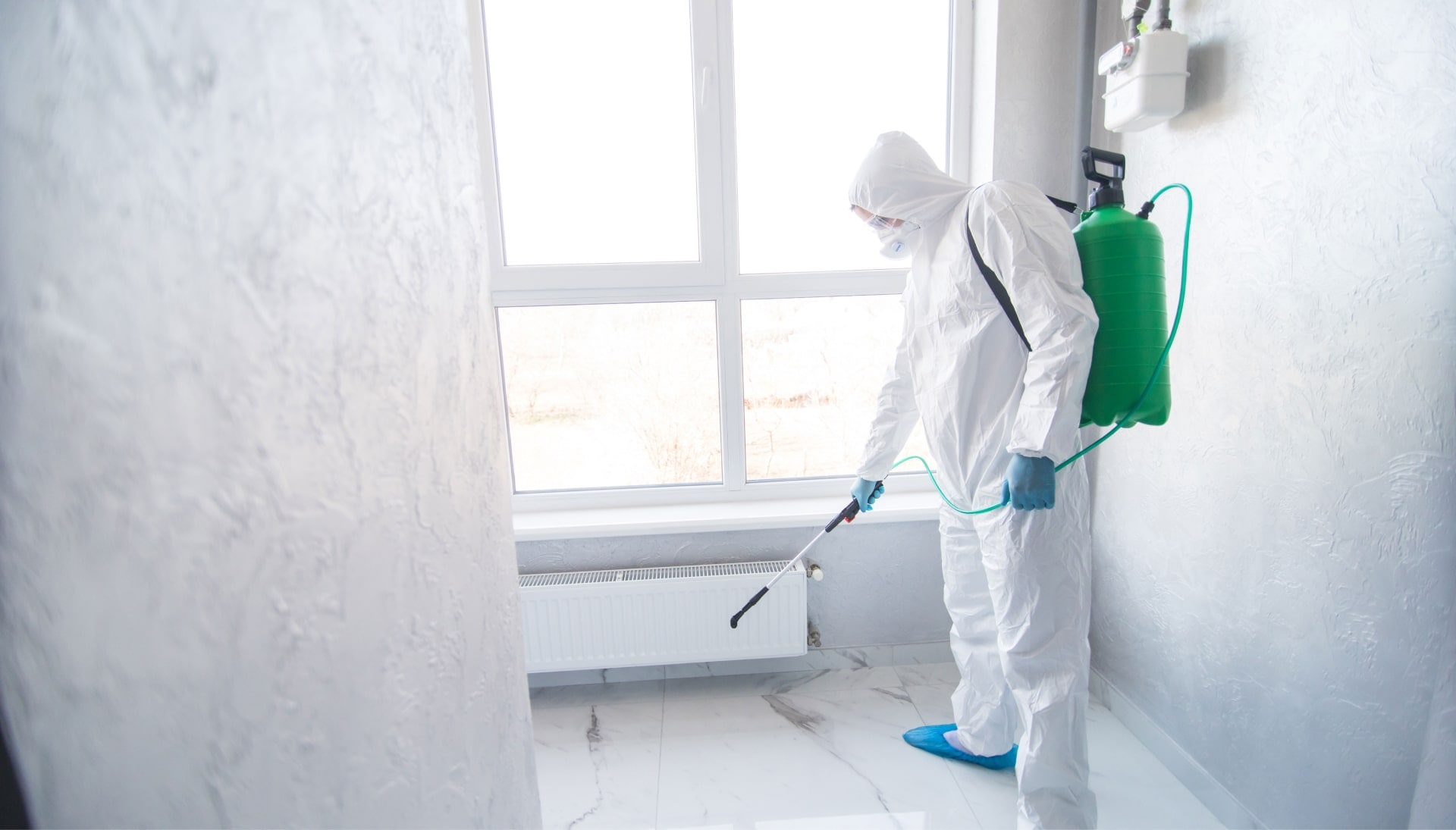 Mold Inspection Services in Orlando